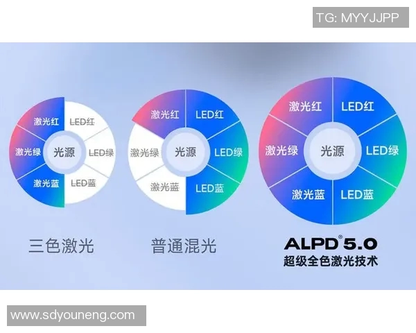 坚果哑铃的价值与培养潜力分析是否值得投资时间与精力